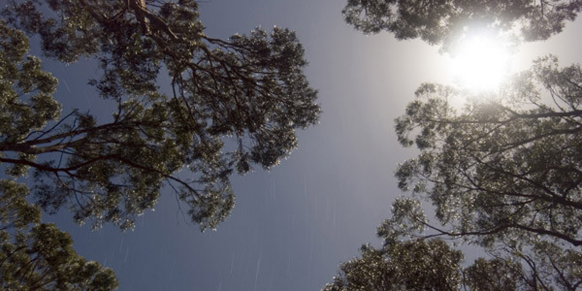 Sermorelin Ipamorelin The Haven