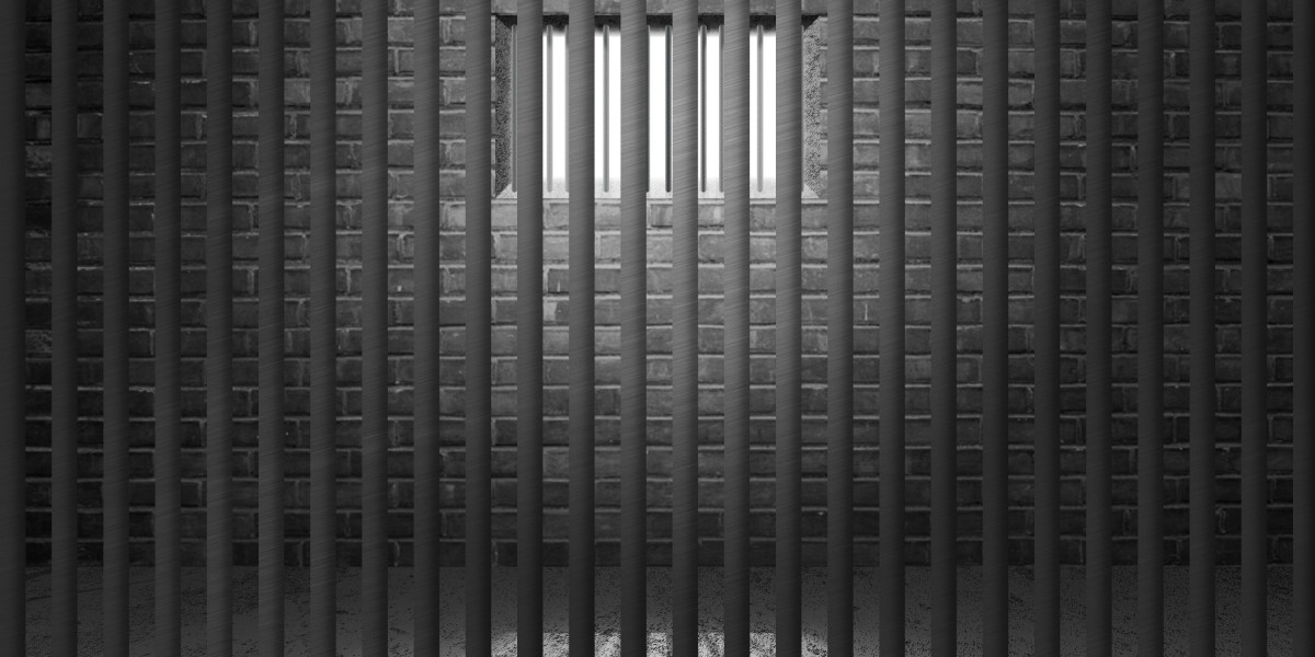 Exploring Gold IRA Reviews: A Complete Observational Study