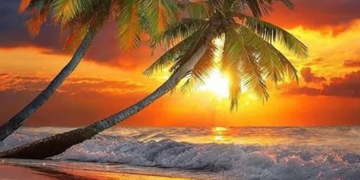 Houston Texans NFL Electricity Ratings: 7 days 14