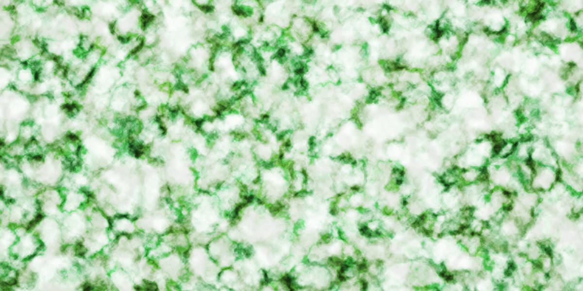 Developments in Sugar Daddy Websites: Navigating Modern Relationships in the Digital Age