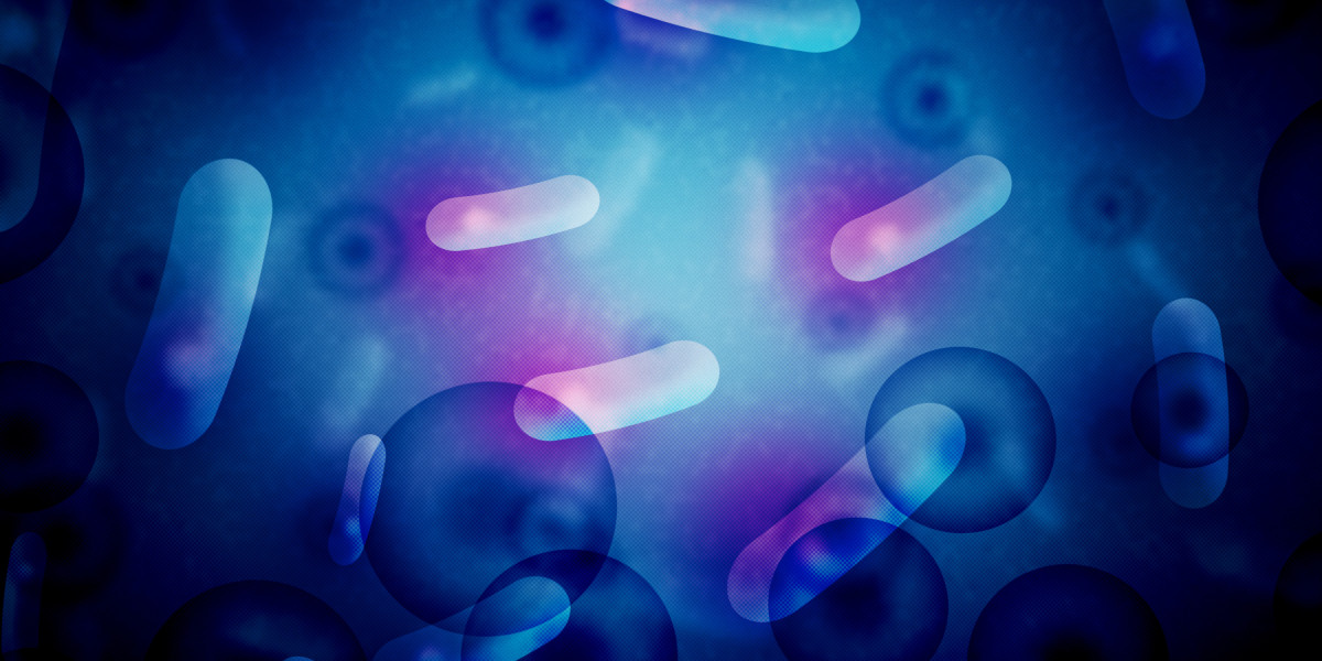 Exploring the Quest for a Sugar Daddy: Where to Seek out Financial Assist In Trendy Relationships