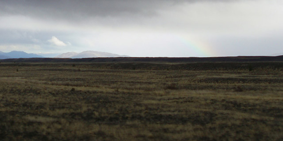 Royal Reels Casino Review Expert & User Ratings 2025