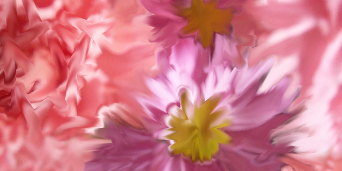 Top 10 USA Online Casinos for Real Money Gambling in 2025