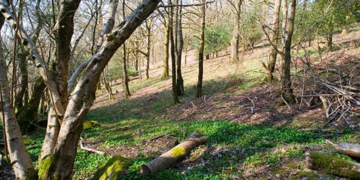 10 Best Online Slots for Real Money Casinos to Play in 2025