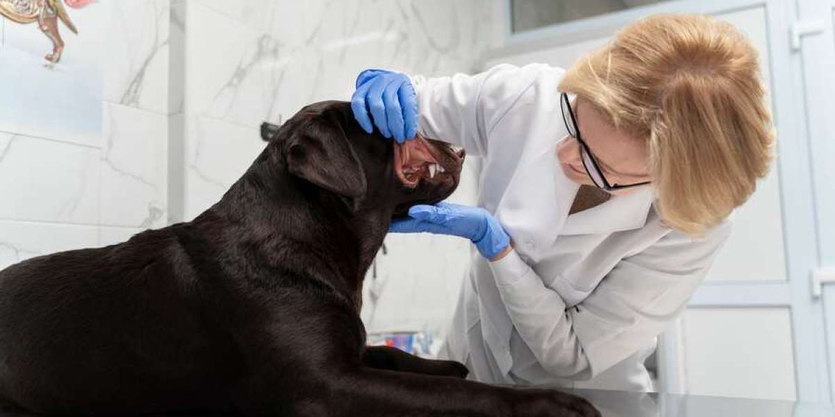 Medical Uses of Fenbendazole in Parasitic Infections